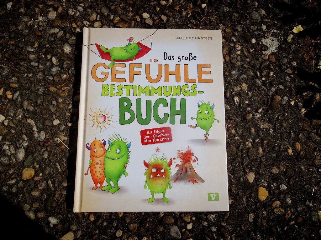 Gefühle 2 Das Bild zeigt das Buchcover des Bilderbuchs "Gefühle Bestimmungsbuch"